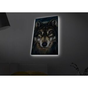 Imagine Tablou decorativ cu lumina LED, 4570MDACT-055, Dimensiune: 45 x 70 cm, Multicolor