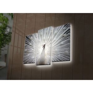 Imagine Set 3 tablouri decorative cu lumina LED, 3PATDACT-12, 20 x 39 cm, 2 piese, Multicolor