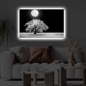 Imagine Tablou decorativ cu lumina LED, 4570KTLGDACT, Dimensiune: 45 x 70 cm, Multicolor