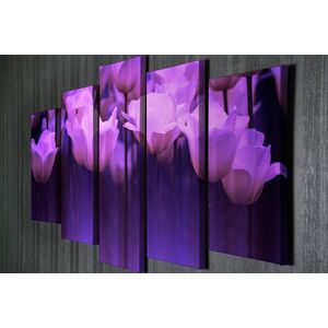 Imagine Set 5 tablouri decorative, BC004, 70 x 20 cm, Multicolor