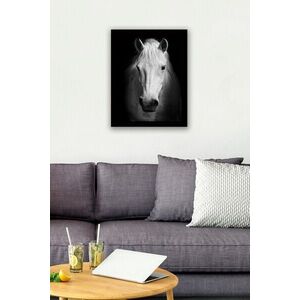Imagine Tablou decorativ, SC0301, Rama din lemn (grosime 3 cm), Multicolor