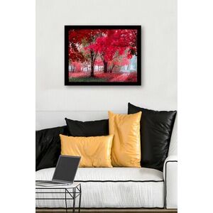 Imagine Tablou decorativ, SC0881, Rama din lemn (grosime 3 cm), Multicolor