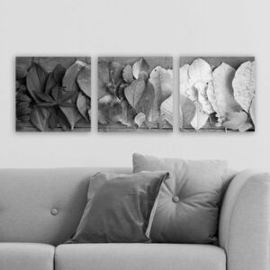 Imagine Set 3 tablouri decorative, P2253353, Rama din lemn (grosime 3 cm), Multicolor