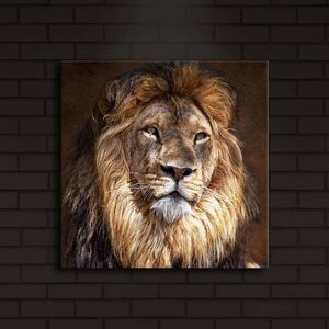 Imagine Tablou decorativ cu lumina LED, 4040İACT-20, Dimensiune: 40 x 40 cm, Multicolor