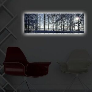 Imagine Tablou decorativ cu lumina LED, 3090DACT-37, 30 x 90 cm, Multicolor