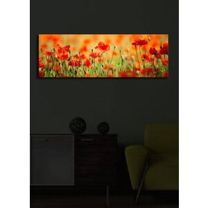 Imagine Tablou decorativ cu lumina LED, 3090İACT-13, 30 x 90 cm, Multicolor