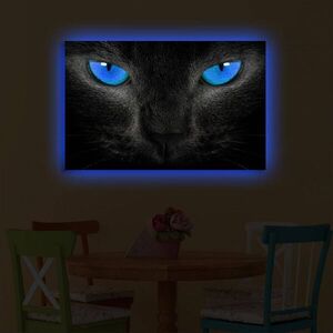 Imagine Tablou decorativ cu lumina LED, 4570DACT-45, Dimensiune: 45 x 70 cm, Multicolor