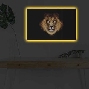 Imagine Tablou decorativ cu lumina LED, 4570DHDACT-045, Dimensiune: 45 x 70 cm, Multicolor