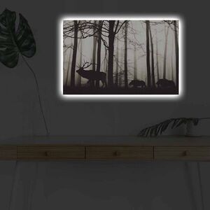 Imagine Tablou decorativ cu lumina LED, 4570DHDACT-080, Dimensiune: 45 x 70 cm, Multicolor