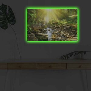 Imagine Tablou decorativ cu lumina LED, 4570DHDACT-119, Dimensiune: 45 x 70 cm, Multicolor