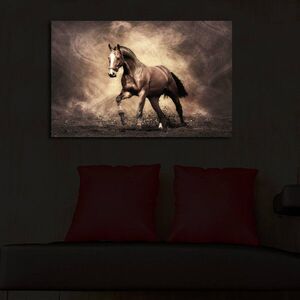 Imagine Tablou decorativ cu lumina LED, 4570İACT-40, Dimensiune: 45 x 70 cm, Multicolor