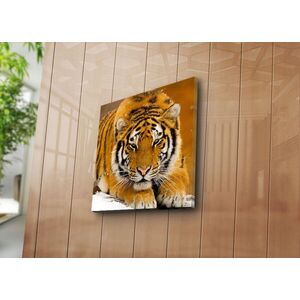 Imagine Tablou decorativ, 4545NAT-6, Rama din lemn (grosime 3 cm), Multicolor