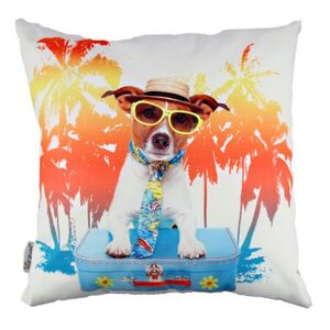 Imagine Perna, A10804, 43x43 cm, Multicolor