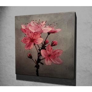 Imagine Tablou decorativ, KC081, Dimensiune: 45 x 45 cm, Multicolor