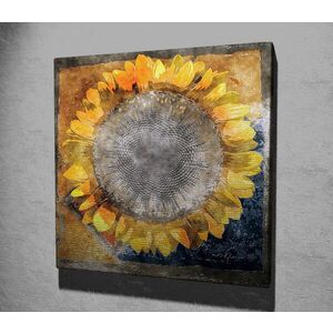 Imagine Tablou decorativ, KC083, Dimensiune: 45 x 45 cm, Multicolor