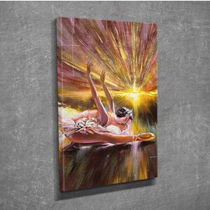 Imagine Tablou decorativ, DC202, Rama din lemn (grosime 3 cm), Multicolor
