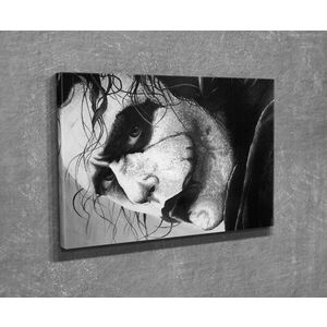 Imagine Tablou decorativ, DC225, Rama din lemn (grosime 3 cm), Multicolor