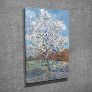 Imagine Tablou decorativ, DC258, Rama din lemn (grosime 3 cm), Multicolor