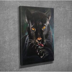 Imagine Tablou decorativ, DC266, Rama din lemn (grosime 3 cm), Multicolor