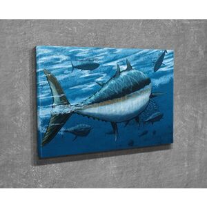 Imagine Tablou decorativ, DC271, Rama din lemn (grosime 3 cm), Multicolor