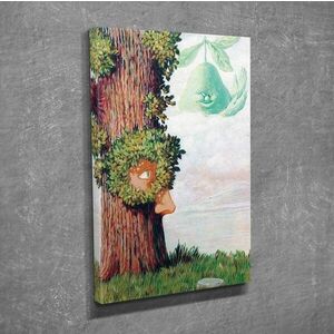 Imagine Tablou decorativ, DC300, Rama din lemn (grosime 3 cm), Multicolor
