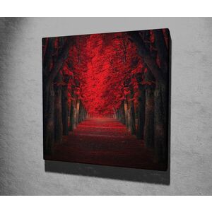 Imagine Tablou decorativ, KC262, Rama din lemn (grosime 3 cm), Multicolor