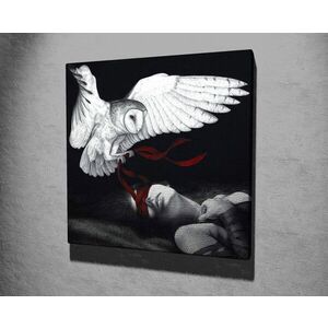 Imagine Tablou decorativ, KC300, Rama din lemn (grosime 3 cm), Multicolor