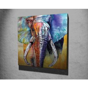 Imagine Tablou decorativ, KC306, Rama din lemn (grosime 3 cm), Multicolor