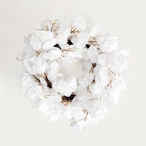 Imagine Coronita Verdea, Homla, 60 cm, plastic, alb