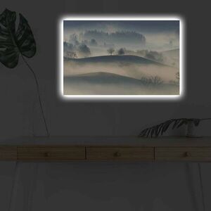 Imagine Tablou decorativ cu lumina LED, 4570DHDACT-124, PÂNZĂ DIN PIELE ÎNTOARSĂ, Dimensiune: 45 x 70 cm, Multicolor