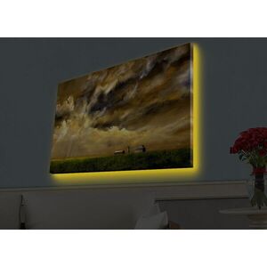 Imagine Tablou decorativ cu lumina LED, 4570HDACT-049, PÂNZĂ DIN PIELE ÎNTOARSĂ, Dimensiune: 45 x 70 cm, Multicolor