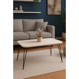 Imagine Masuta de cafea, Hanah Home, Peka247P, 90x55x50 cm, PAL, Alb/Negru