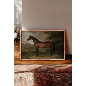 Imagine Tablou decorativ, 115179, Lemn masiv, Sticla PVC, Multicolor