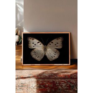 Imagine Tablou decorativ, 115181, Lemn masiv, Sticla PVC, Multicolor
