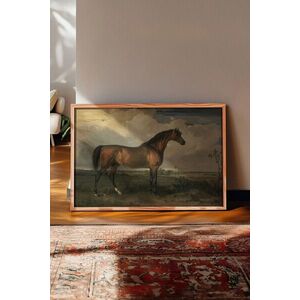 Imagine Tablou decorativ, 115184, Lemn masiv, Sticla PVC, Multicolor