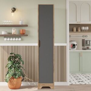 Imagine Dulap multifunctional, Hanah Home, LIB3-AA, 36.5x180x34 cm, PAL, Pin Atlantic / Antracit