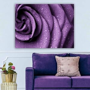 Imagine Tablou decorativ, 125041943_70100, Canvas, Rama din lemn (grosime 3 cm), Multicolor