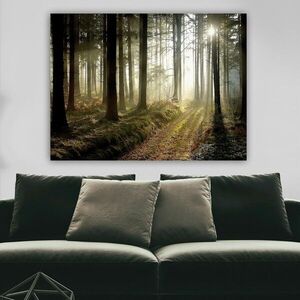 Imagine Tablou decorativ, 24912262_70100, Canvas, Rama din lemn (grosime 3 cm), Multicolor