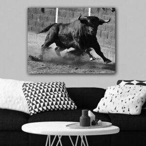 Imagine Tablou decorativ, 613777481_70100, Canvas, Rama din lemn (grosime 3 cm), Multicolor