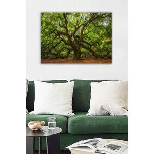 Imagine Tablou decorativ, 553671223-5070, Canvas, Rama din lemn (grosime 3 cm), Multicolor