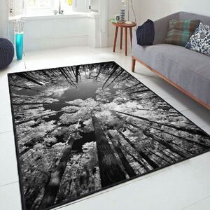 Imagine Covor, Els1902, 160x230 cm, Catifea, Multicolor