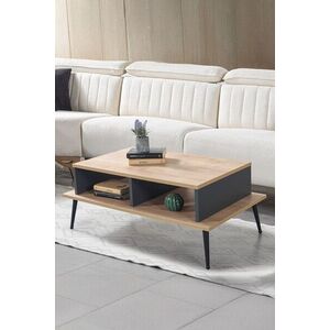 Imagine Masuta de cafea, Hanah Home, Şile 2009, 100x40x56 cm, PAL, Stejar safir / Antracit