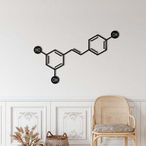 Imagine Decoratiune de perete, 5439, Metal, Dimensiune: 60 x 38 cm, Negru