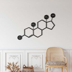 Imagine Decoratiune de perete, 5238, Metal, Dimensiuni: 90 x 63 cm, Negru