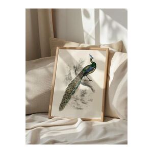 Imagine Tablou decorativ, 108500, Lemn masiv, Sticla PVC, Multicolor