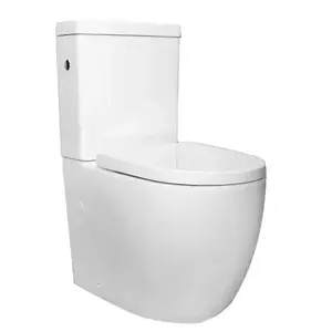 Imagine Set vas WC Fluminia Minerva, rimless cu rezervor si capac soft-close 63x38xH83 cm