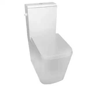 Imagine Set vas WC Fluminia Paris, rimless cu rezervor si capac soft-close 66.5x38xH84 cm.