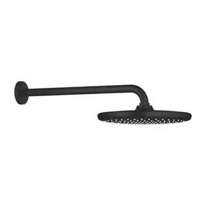 Imagine Palarie si brat de dus Grohe Tempesta 250 negru mat 1 functie