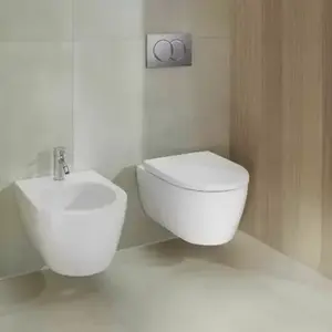 Imagine Vas wc Geberit ICon suspendat Rimfree, cu capac soft close