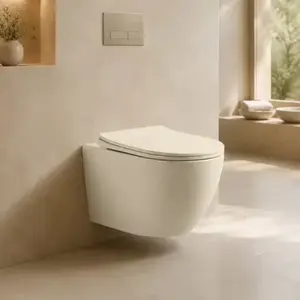Imagine Set vas WC suspendat, Fluminia, rimless, cu capac quick release si soft close, cappuccino